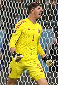 Thibaut Courtois Picture